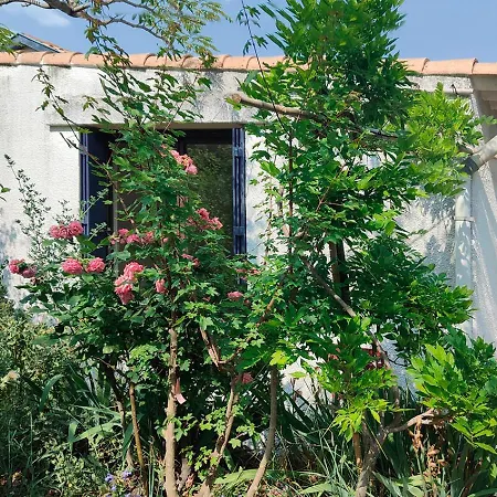 Privée Dans Maison En Garrigue *